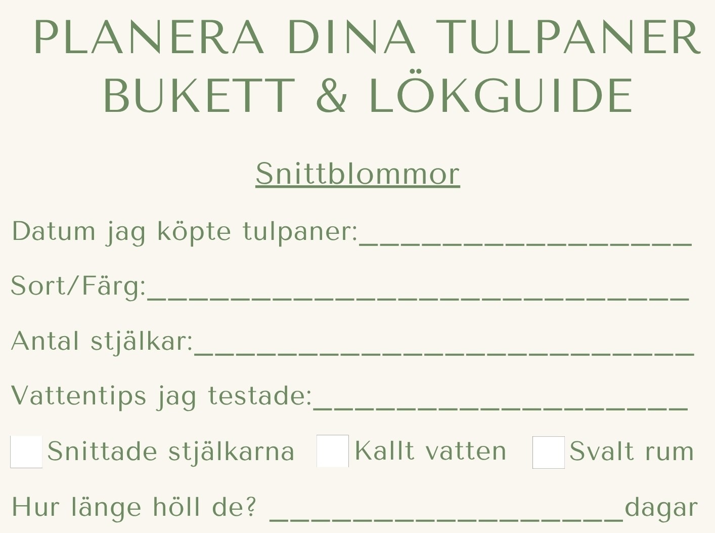 Planera Dina Tulpaner – Skötsel, Plantering & Gratis Mall för Tulpanälskare